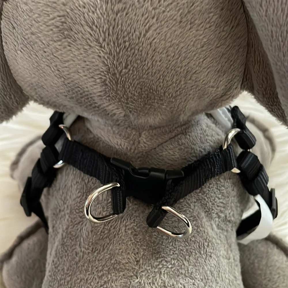 🐈‍⬛🖤Starry Black Reflective Cat/Kitten Harness NWOT